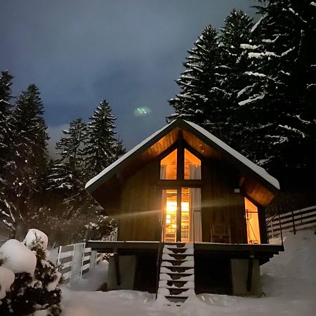 Bramble Tiny House Βίλα Zărneşti Εξωτερικό φωτογραφία