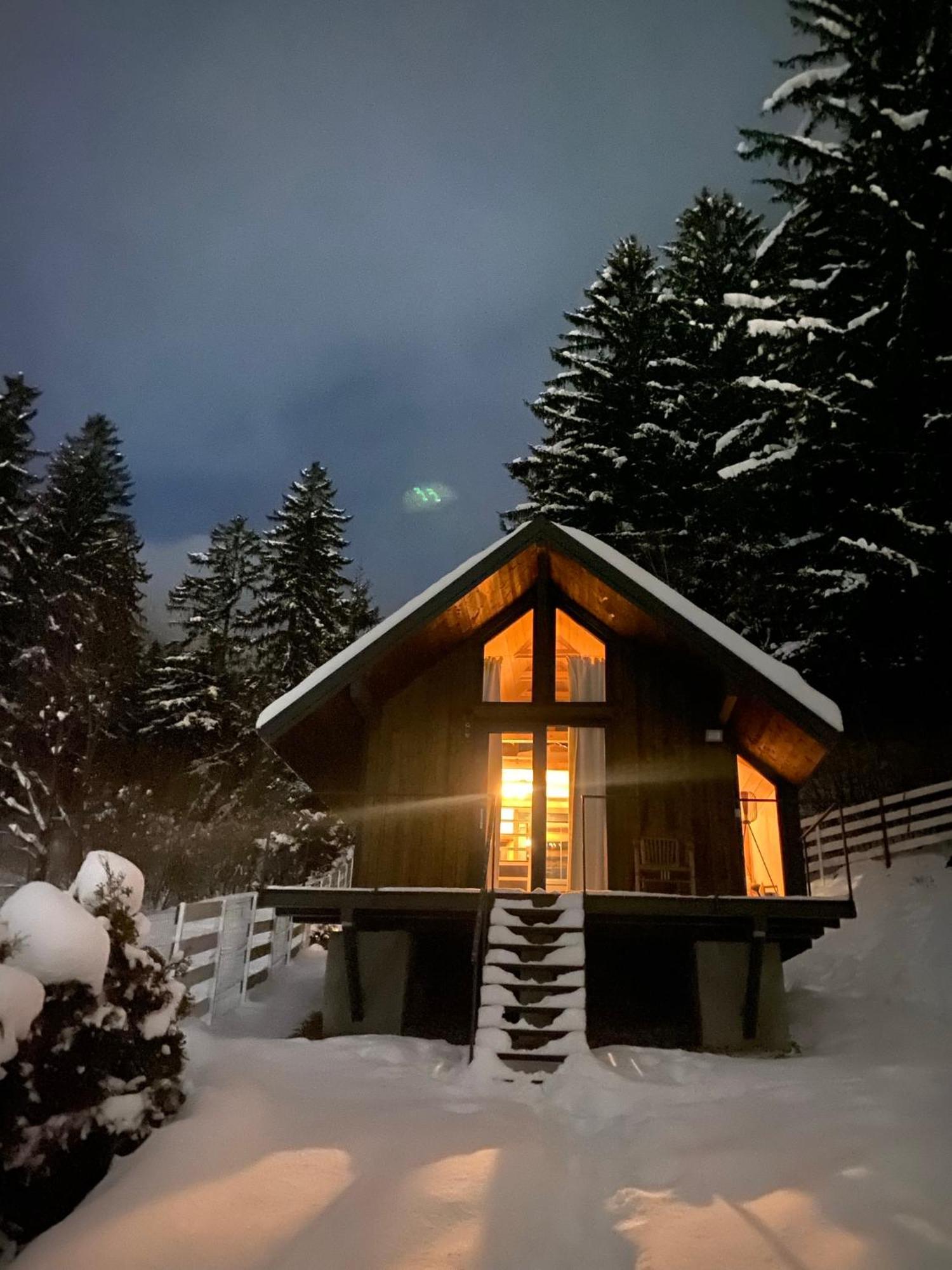 Bramble Tiny House Βίλα Zărneşti Εξωτερικό φωτογραφία
